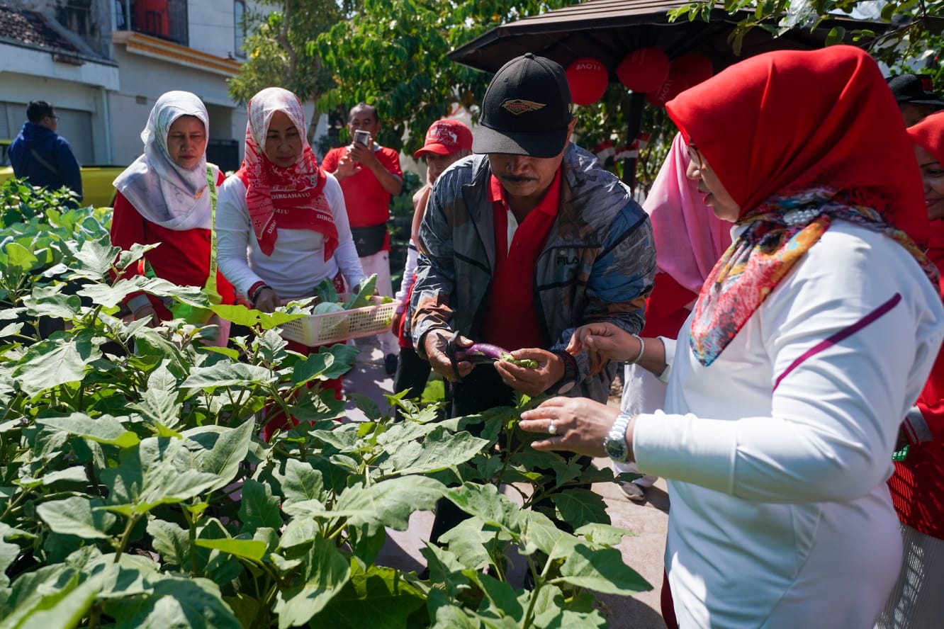 Foto 4 dari 9: Tinjau P2L Taman Asri, Wali Kota Panen Lele dan Sayur Mayur