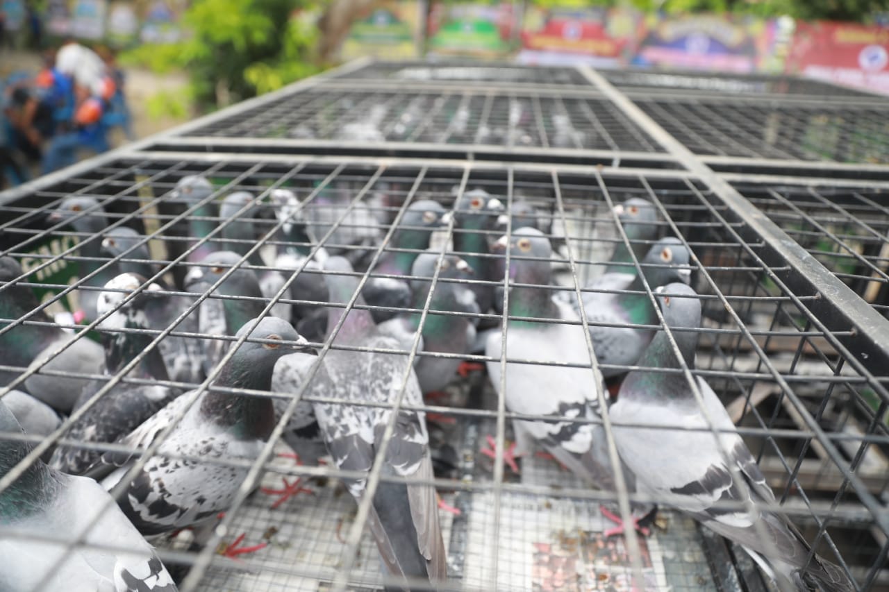 Foto 8 dari 10: Apresiasi Munas Pomsi di Ngrowo Bening, Wali Kota Dr Maidi: Kota Madiun Terbuka untuk Event Apapun