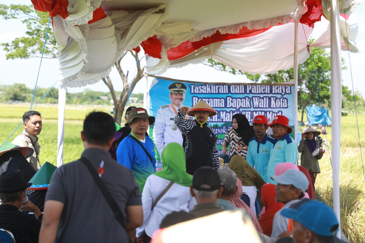 Foto 7 dari 11: Wali Kota Maidi Apresiasi Panen Raya Kelompok Tani Mardi Bogo Kelurahan Tawangrejo