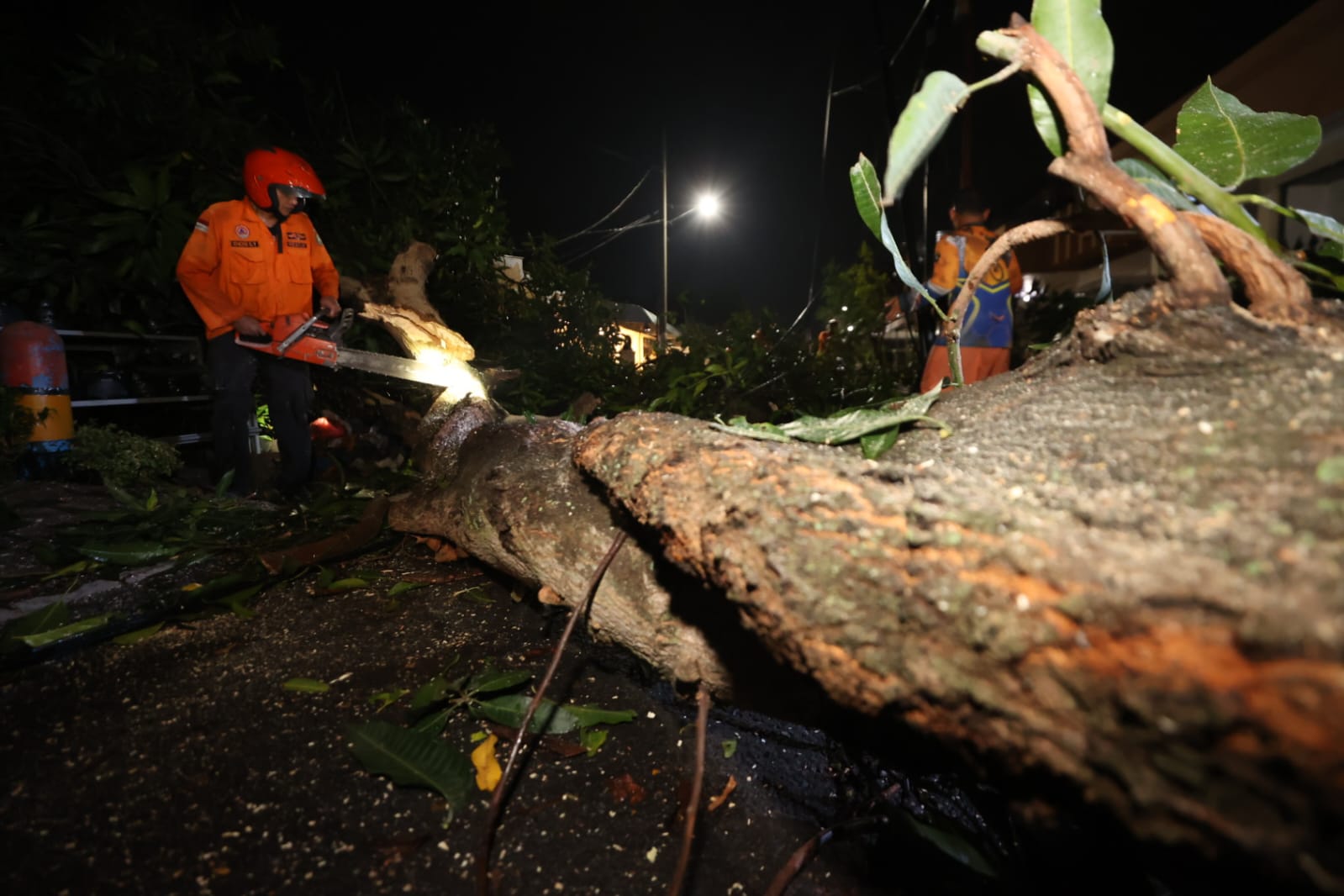 Foto 2 dari 22: Kota Madiun Diterjang Puting Beliung, Petugas Respon Cepat Bersihkan Area Terdampak