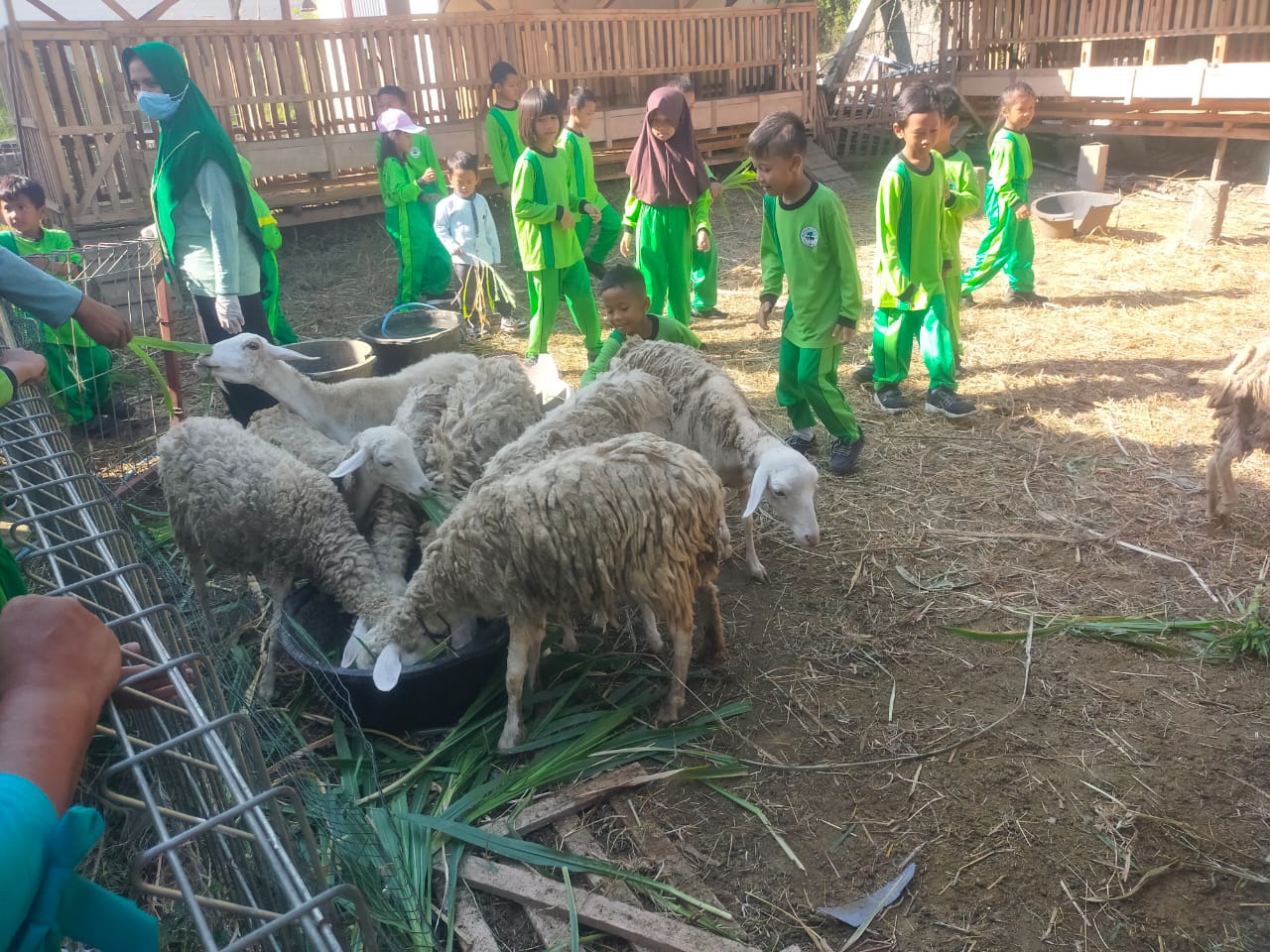 Isi MPLS Dengan Kegiatan Menarik, SDN Sukosari Ajak Siswa ODL Di Sejumlah Lokasi