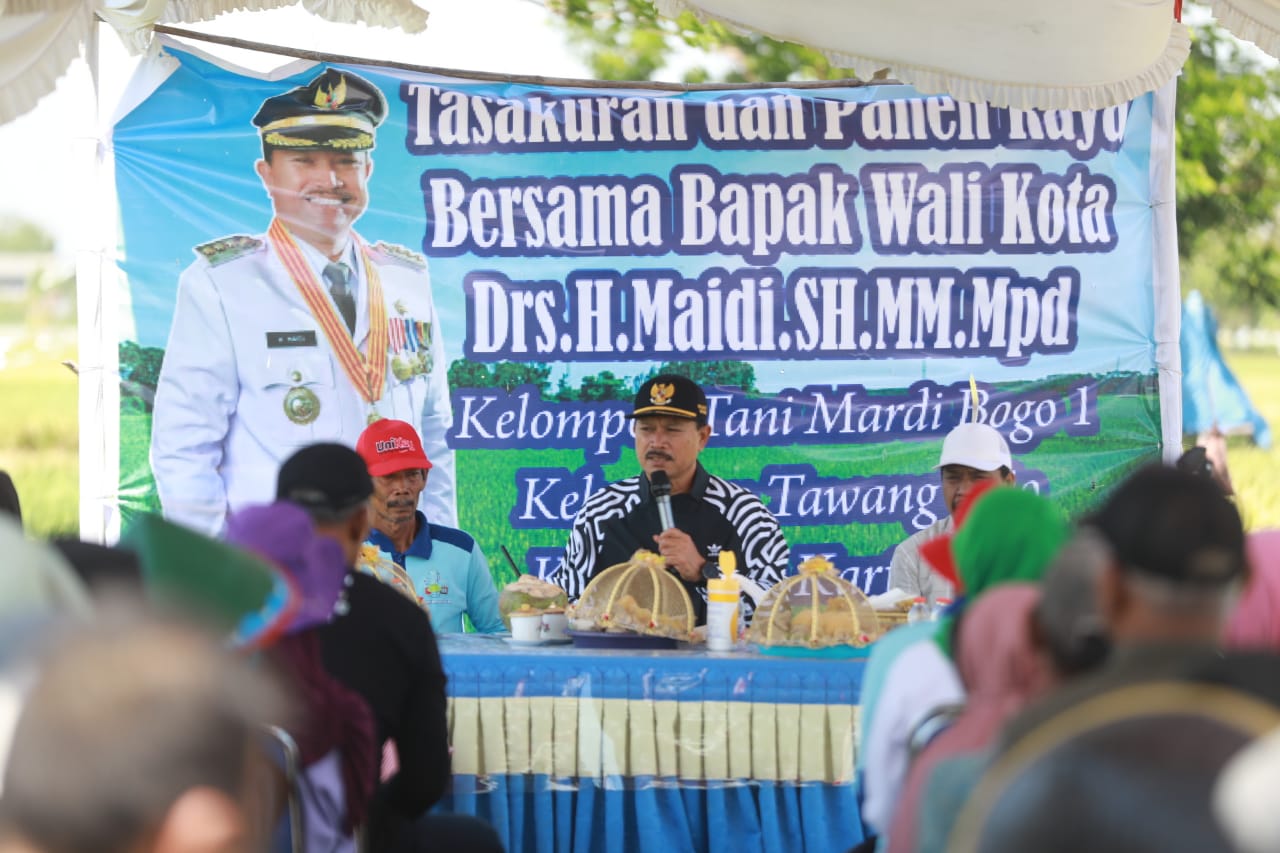 Foto 1 dari 11: Wali Kota Maidi Apresiasi Panen Raya Kelompok Tani Mardi Bogo Kelurahan Tawangrejo
