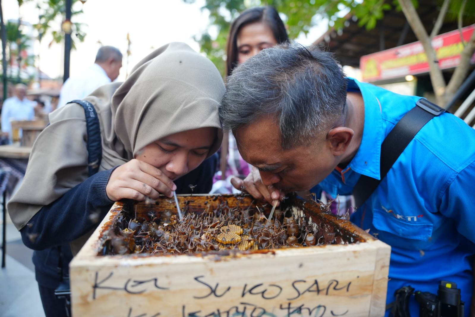 Foto 3 dari 5: Panen Madu, Wali Kota Ajak Masyarakat Rasakan Sensasi Sedot Langsung Dari Sarangnya