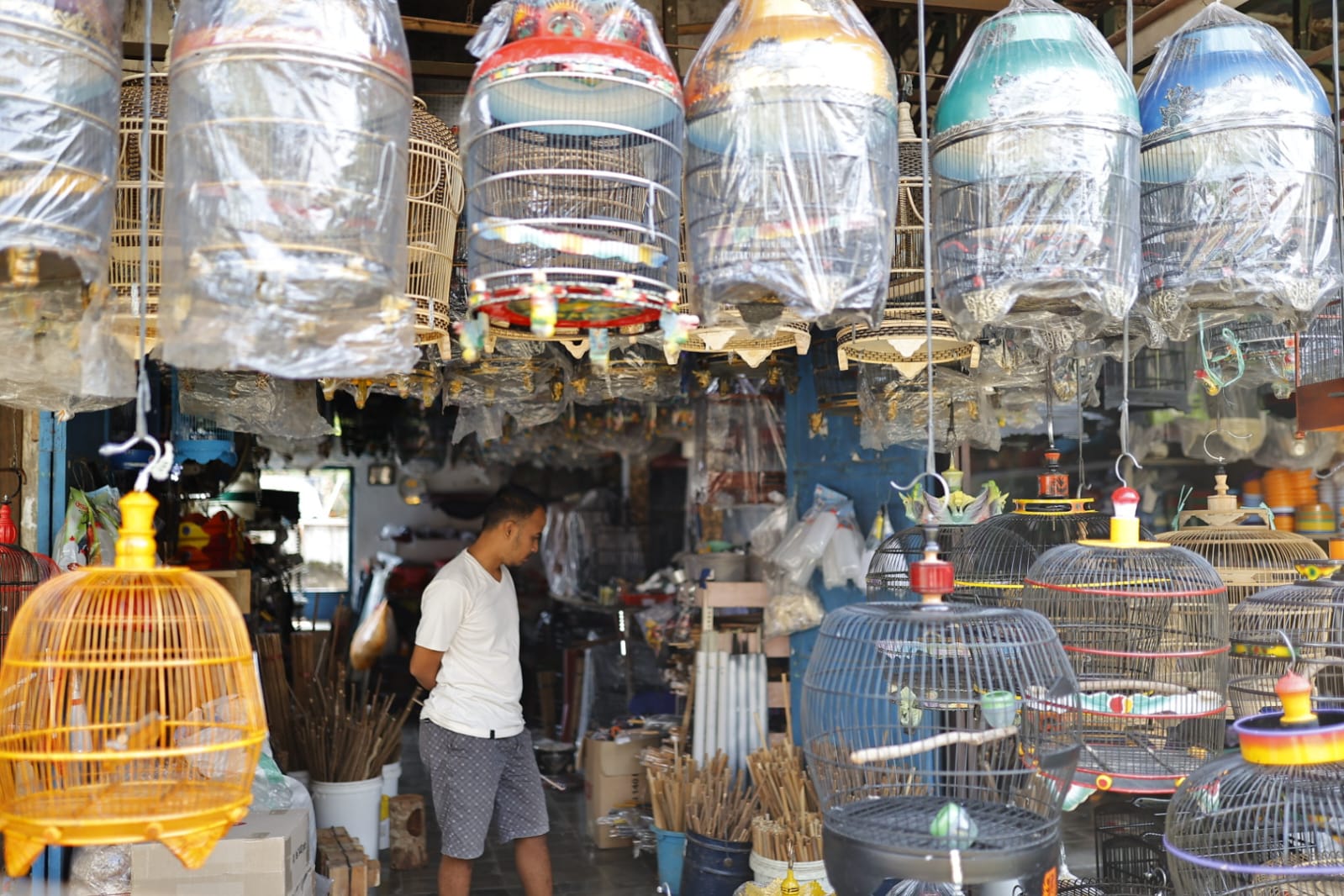 Foto 5 dari 9: Banyak Pengunjung Luar Kota, Pasar Burung Srijaya Buka Peluang Jadi Pasar Wisata
