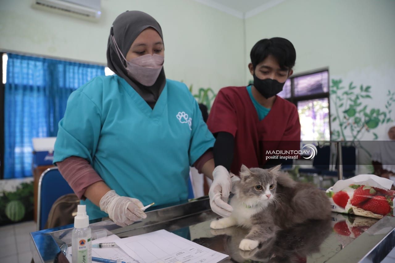 Foto 1 dari 2: Masih Ada Kesempatan, DKPP Fasilitasi Vaksin Rabies Gratis Hingga 6 Oktober