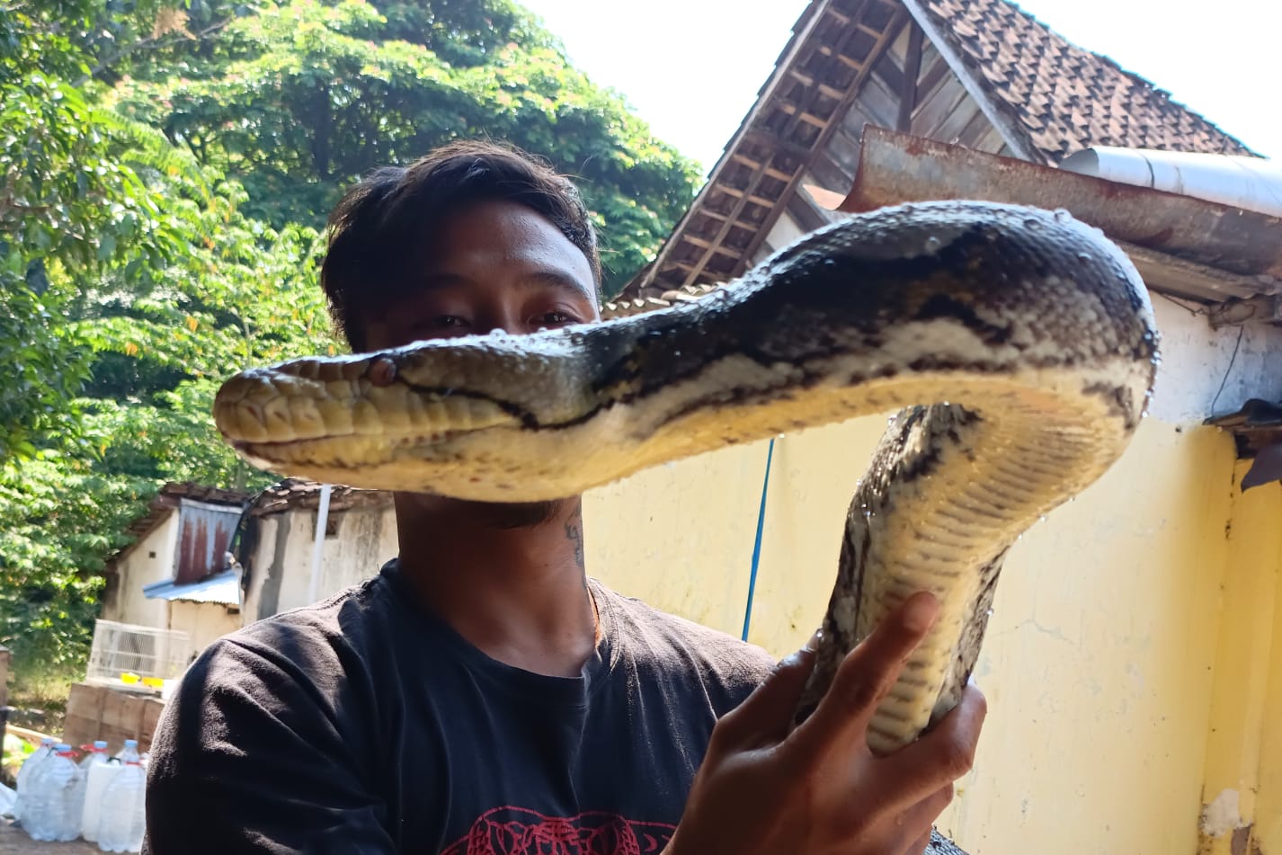 Foto utama berita: Exalos Serahkan 14 Ular Hasil Rescue Ke BBKSDA