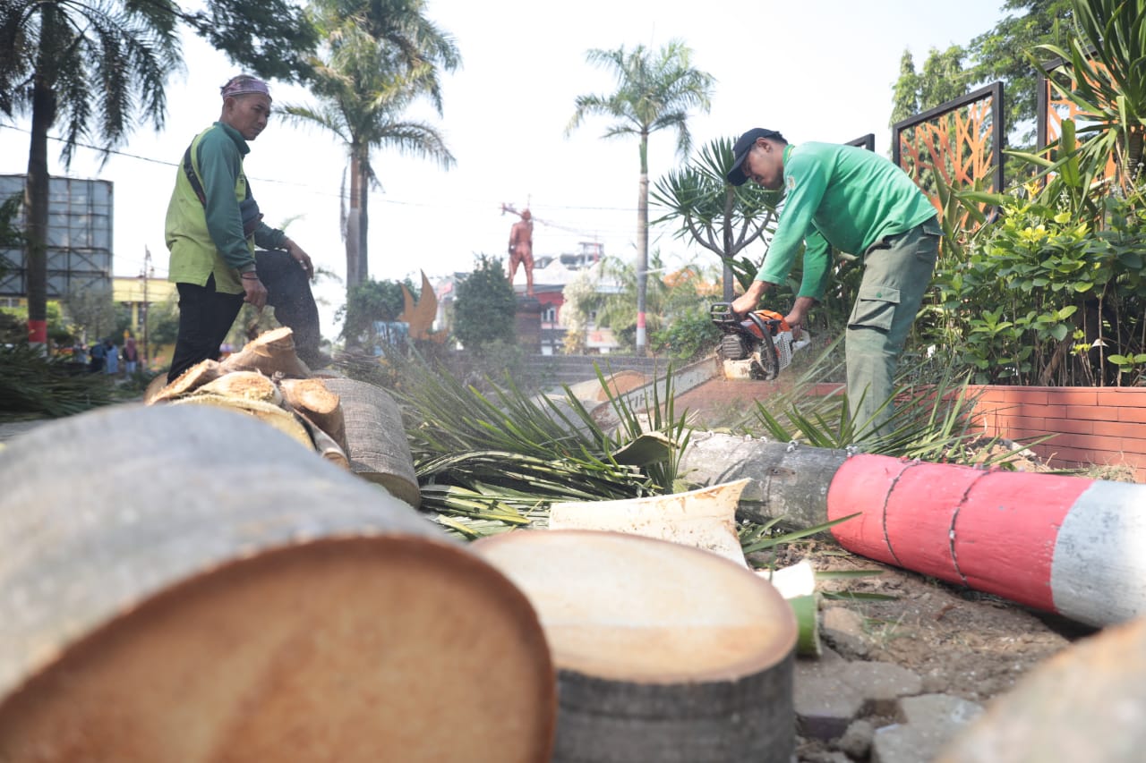 Foto 1 dari 5: Agar Lebih Rapi Sekaligus Antisipasi Angin Kencang, Perkim Lakukan Pemangkasan Pohon