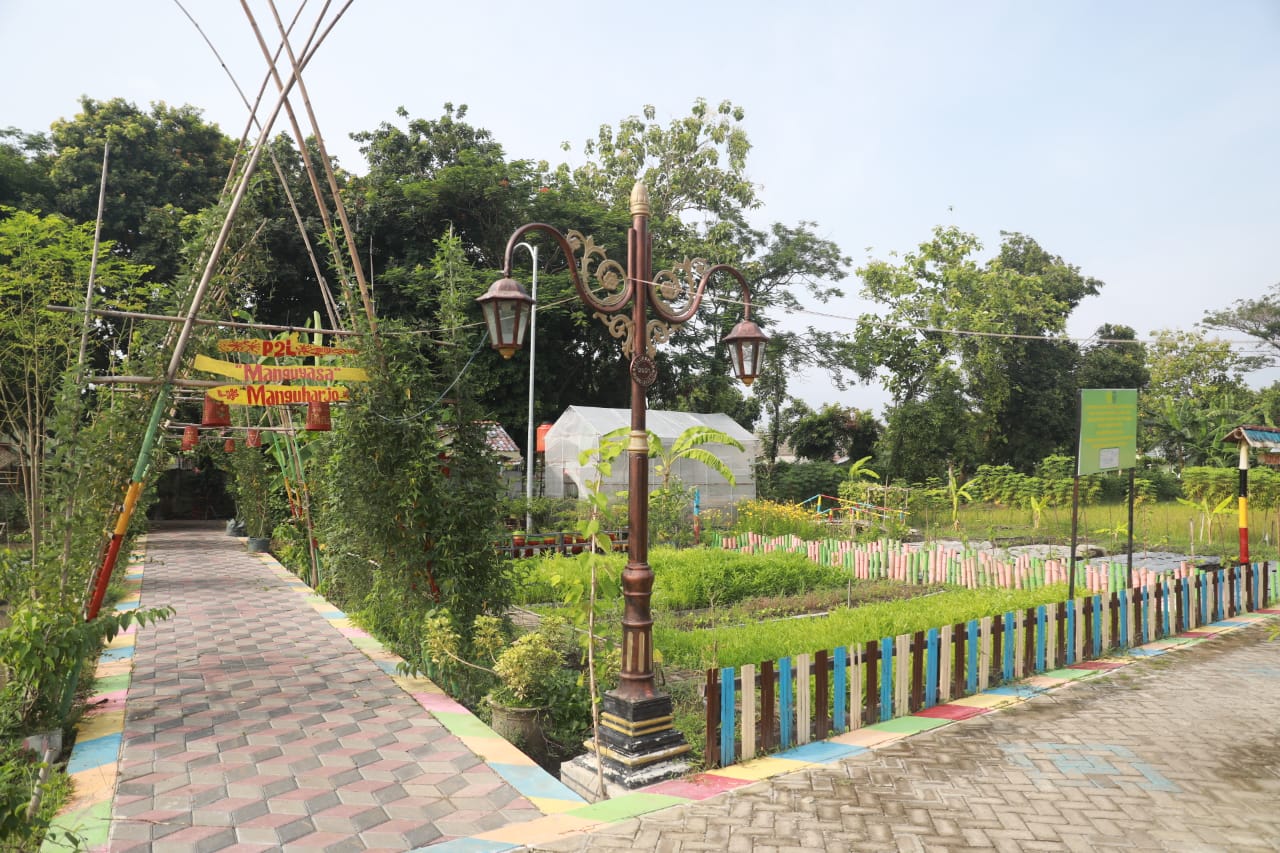 pic 2