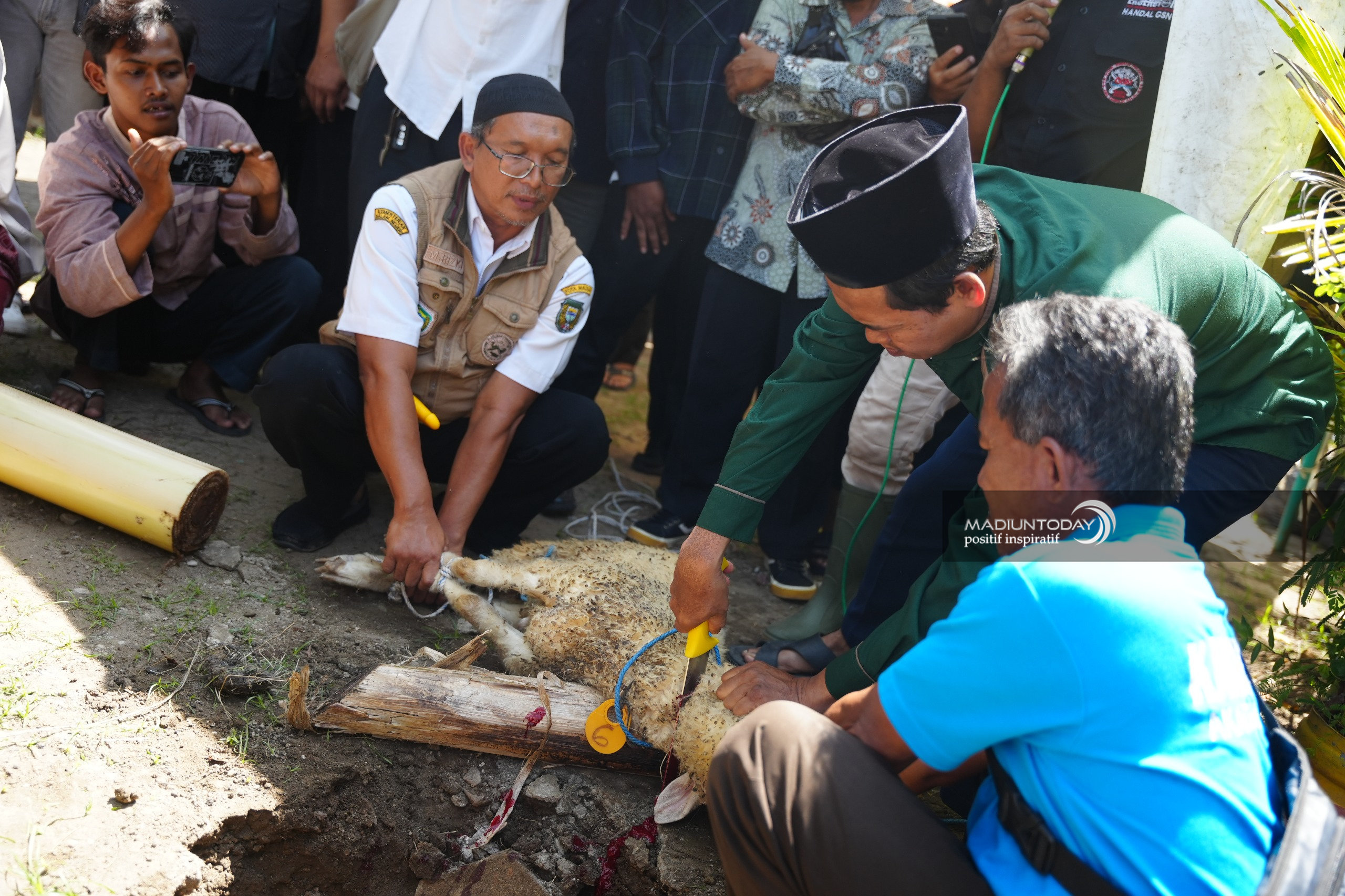 pic 2