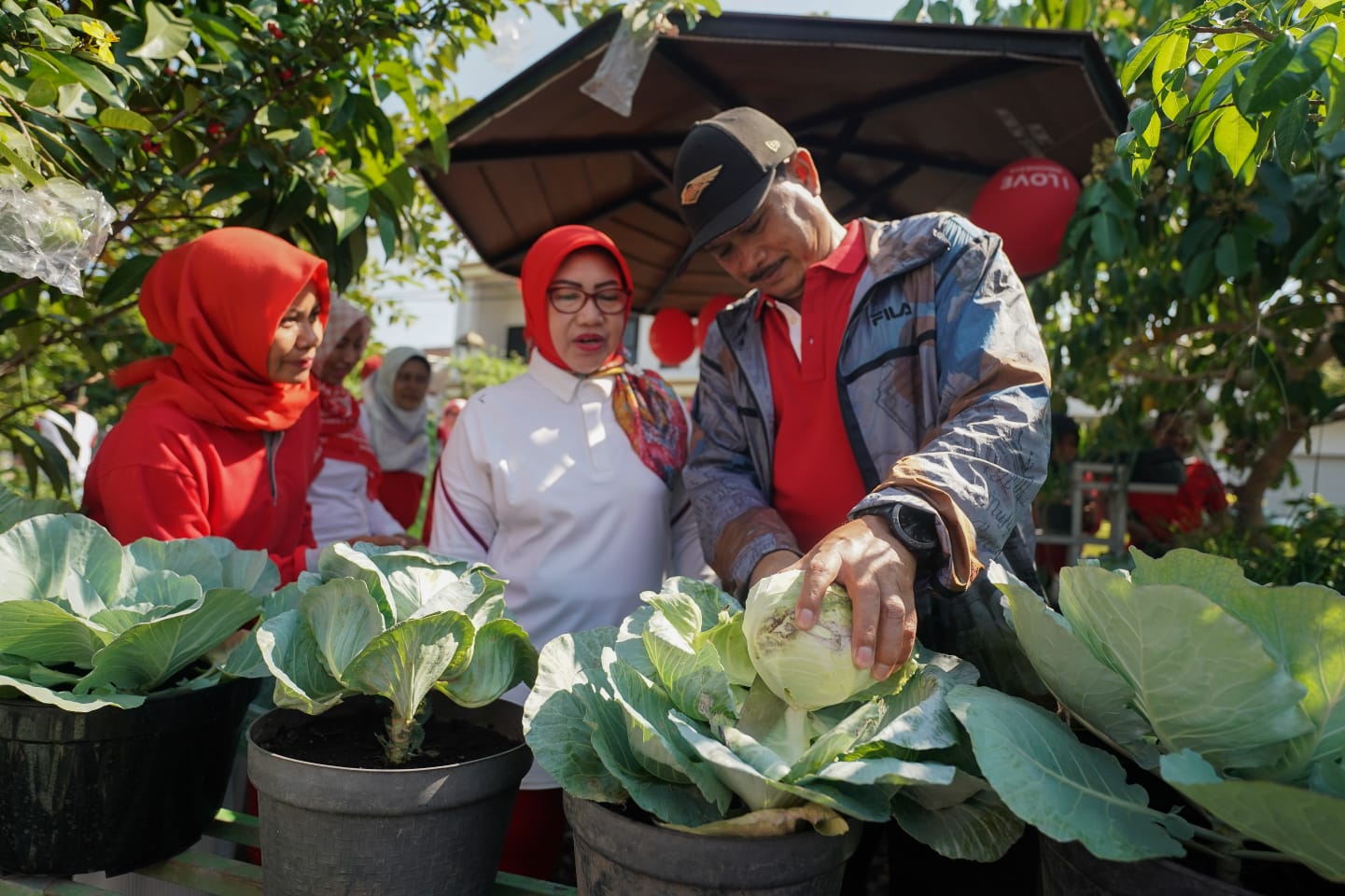 Foto 1 dari 9: Tinjau P2L Taman Asri, Wali Kota Panen Lele dan Sayur Mayur