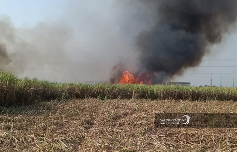 Foto 1 dari 2: Banyak Kasus Kebakaran Lahan, Damkar Beri Peringatan
