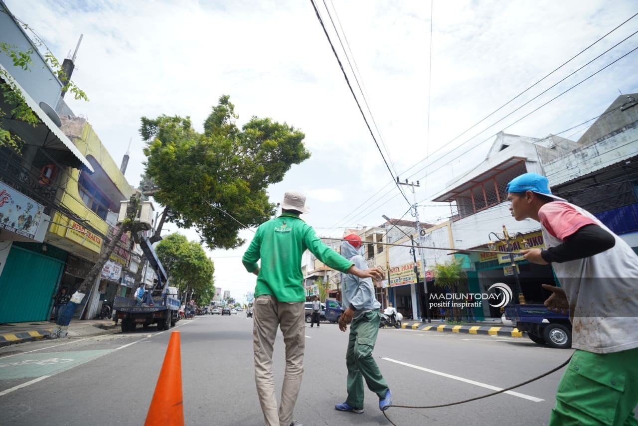 Foto 4 dari 10: Antisipasi Pohon Tumbang, Disperkim Pangkas Dahan dan Ranting Pohon