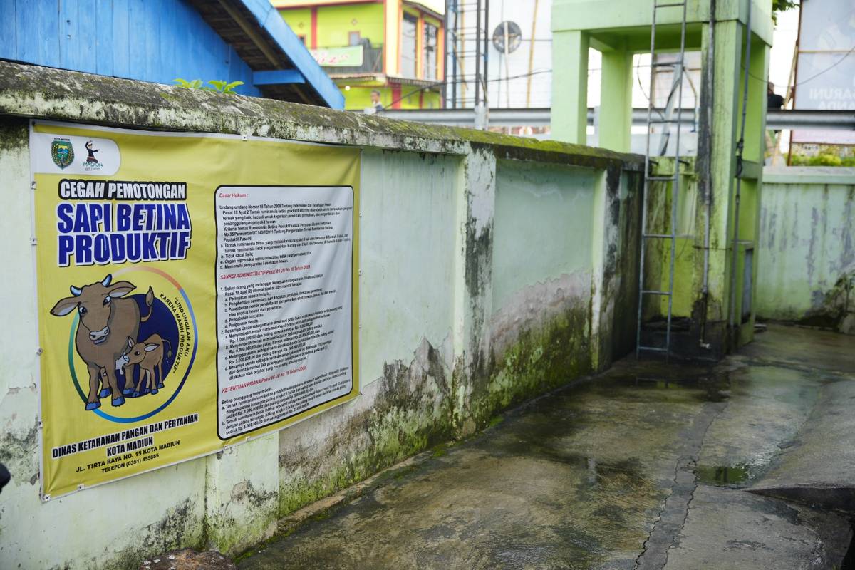 Foto 10 dari 13: Cek Lokasi Usulan Pembangunan, Wali Kota Pastikan Pembangunan Tepat Sasaran