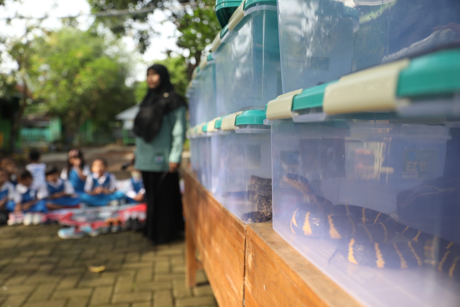 Foto 6 dari 6: SDN Sukosari Gandeng Brem Kenalkan Reptil Pada Siswa