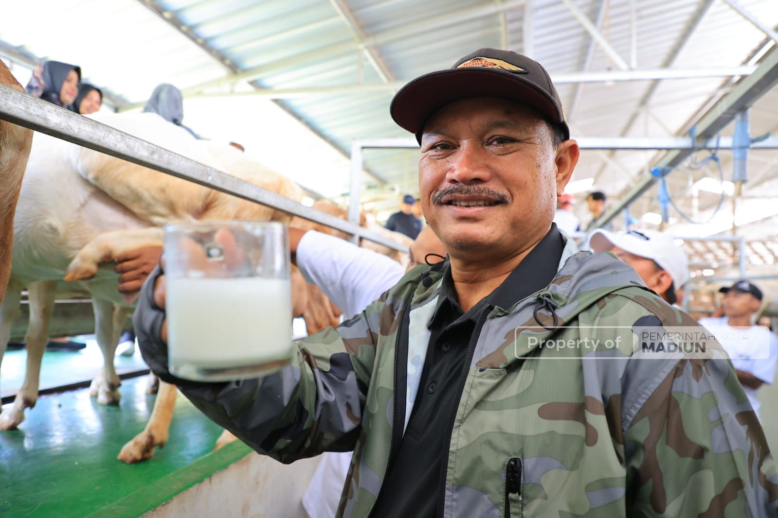 Foto 2 dari 9: Belum Ada di Mataraman, Wali Kota Ingin Hadirkan Peternakan Kambing Perah dan Industri Pengolahan Susu Kambing di Kota Pendekar