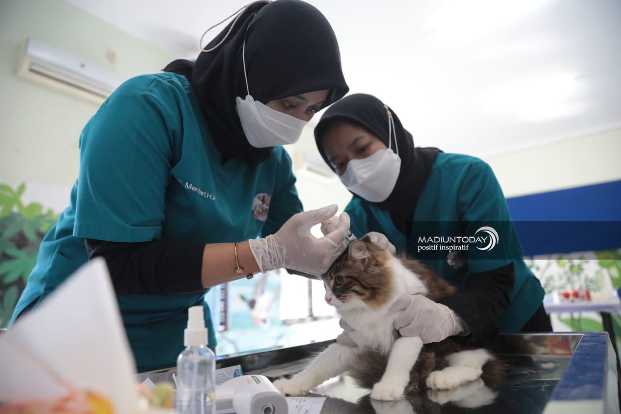 Masih Ada Kesempatan, DKPP Fasilitasi Vaksin Rabies Gratis Hingga 6 Oktober