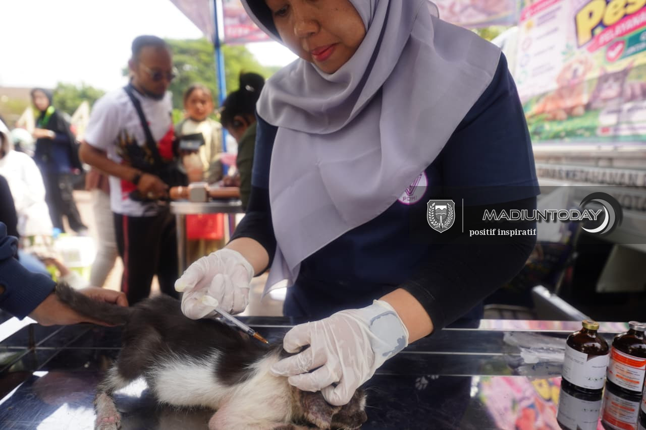 Foto 8 dari 19: Bukan Cuma yang Sakit, 100 Hewan Peliharaan Diperiksa Gratis di RTH Kanigoro