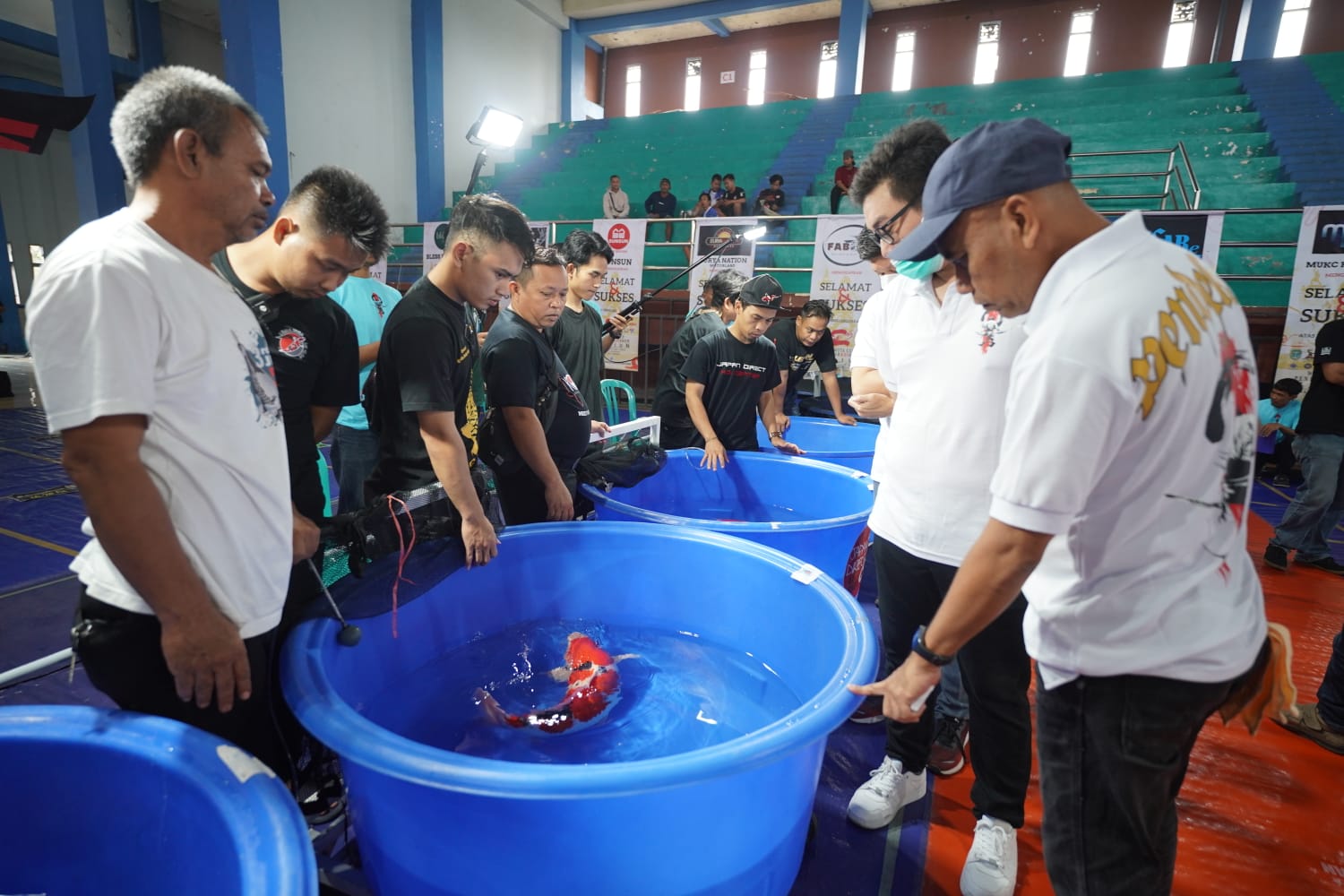 Foto 8 dari 10: Buka Wali Kota Cup Pendekar Koi Show, Wali Kota Buka Pintu Lebar-lebar Event di Kota Pendekar