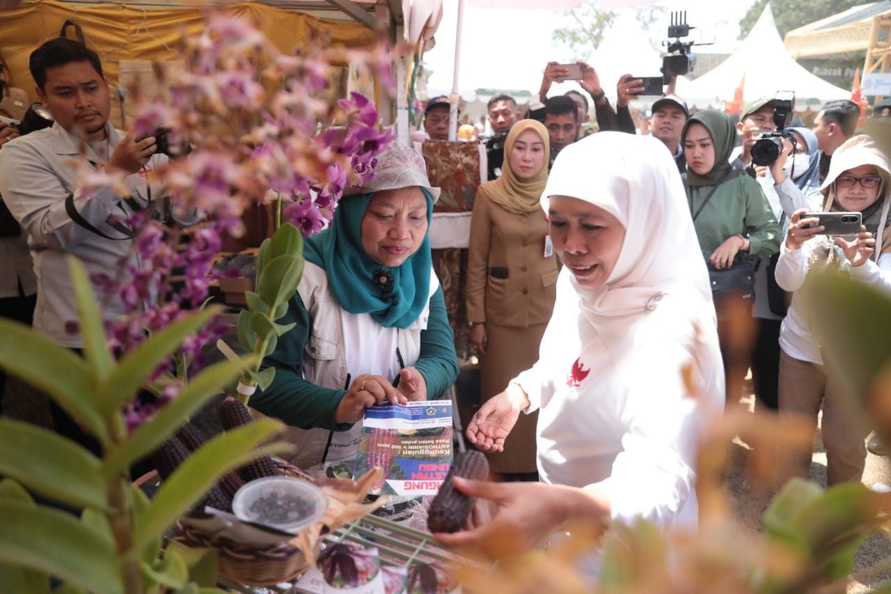 Foto 7 dari 11: Tanam 10 Ribu Pohon Hingga Panen Tanaman Hortikultura Jadi Bagian Peringatan Puncak Hari Lingkungan Hidup Sedunia