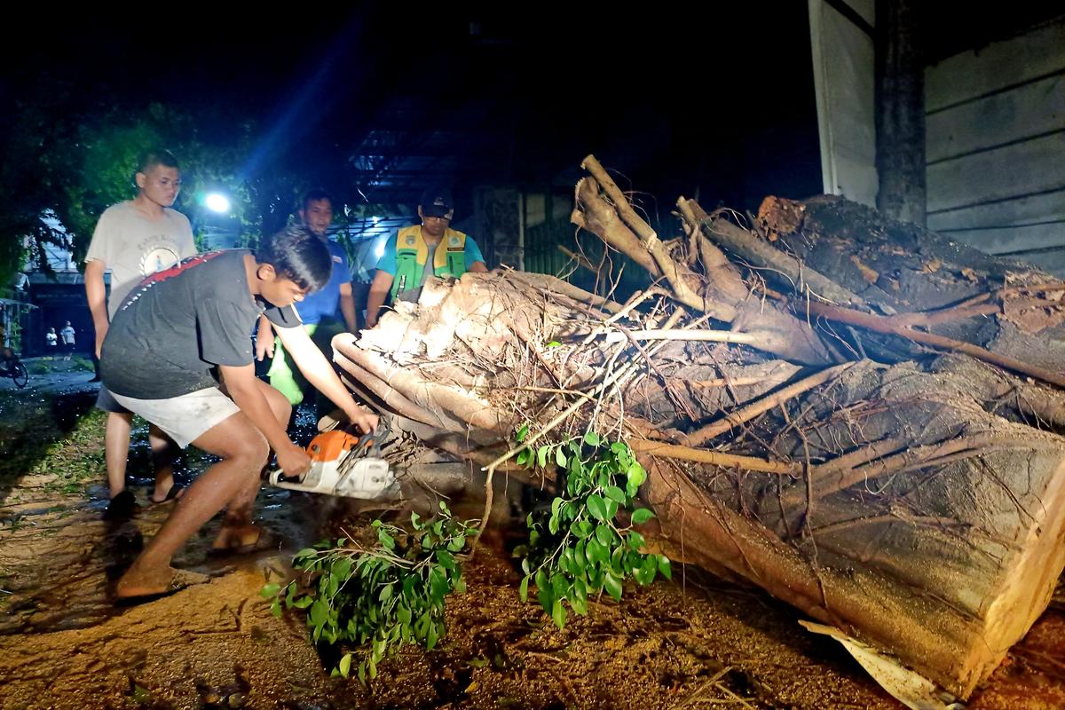 Foto 17 dari 22: Kota Madiun Diterjang Puting Beliung, Petugas Respon Cepat Bersihkan Area Terdampak
