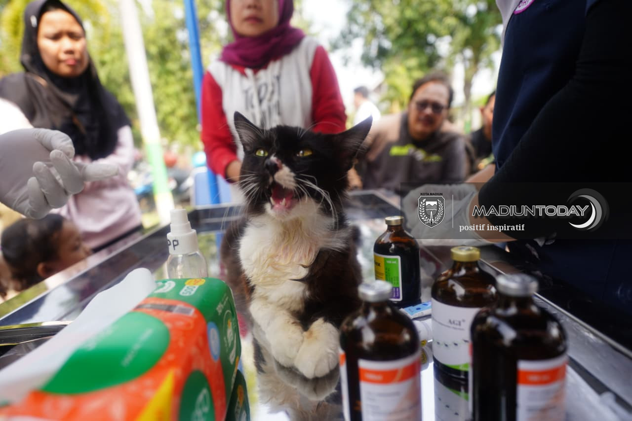 Foto 11 dari 19: Bukan Cuma yang Sakit, 100 Hewan Peliharaan Diperiksa Gratis di RTH Kanigoro