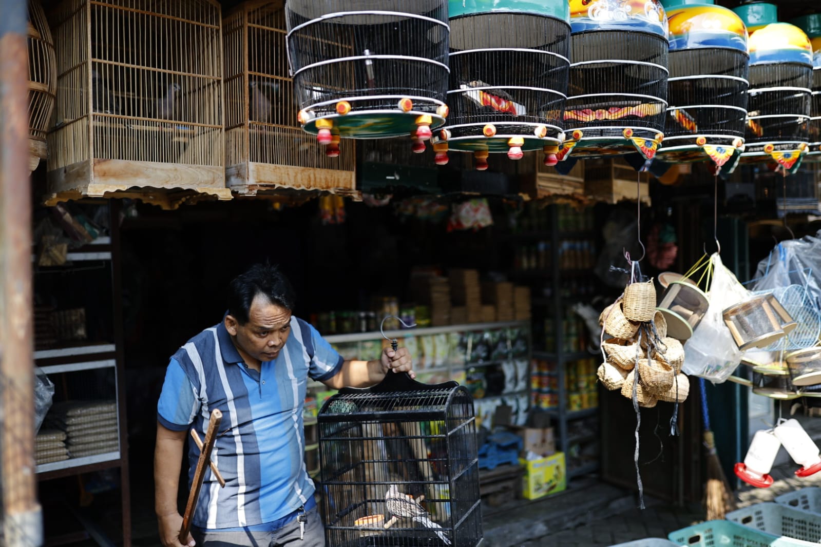 Foto 4 dari 9: Banyak Pengunjung Luar Kota, Pasar Burung Srijaya Buka Peluang Jadi Pasar Wisata