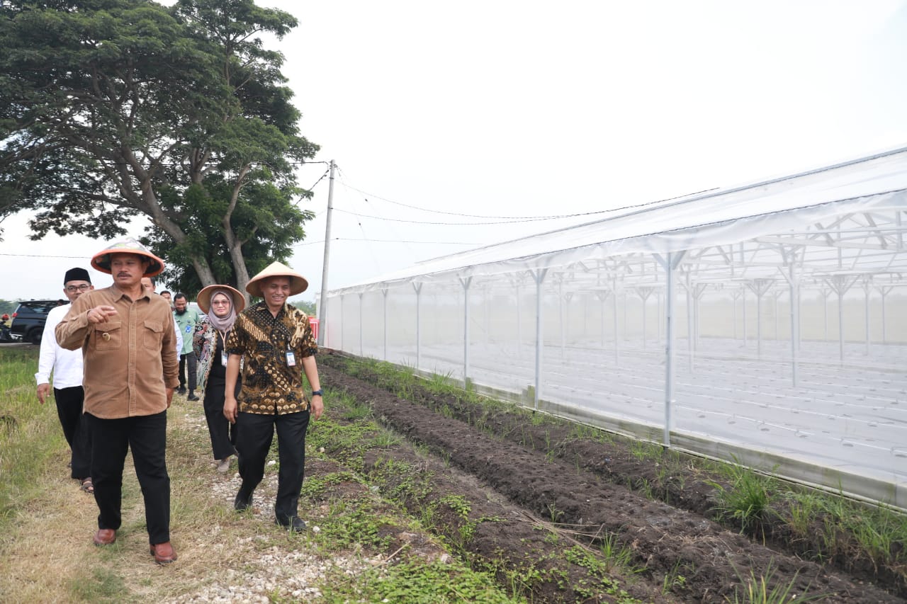 Foto 7 dari 13: Resmikan Greenhouse & Drip Irrigation System Ponpes Al Mardliyyah Madiun, Wali Kota Maidi Harap Bermanfaat