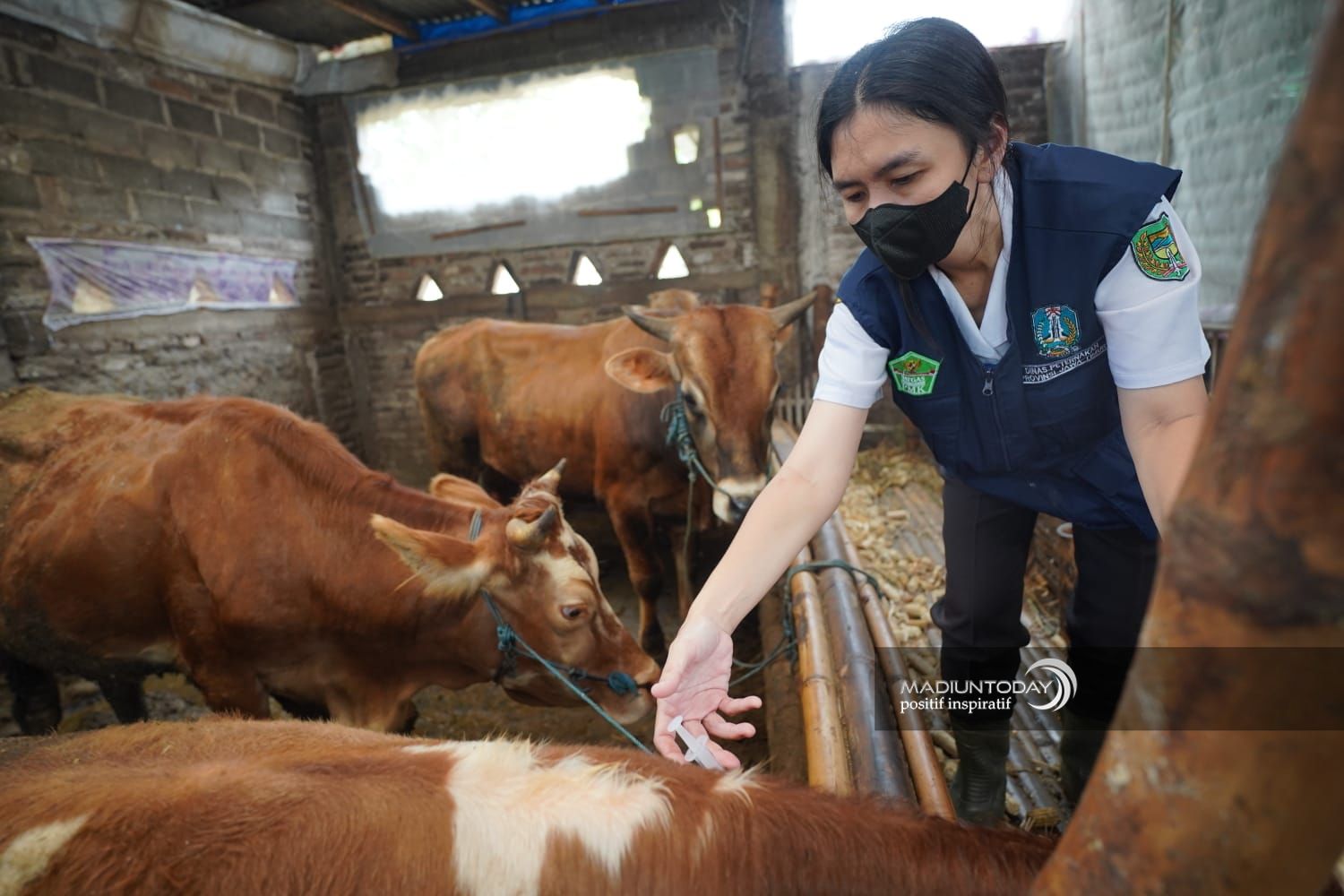 pic 2