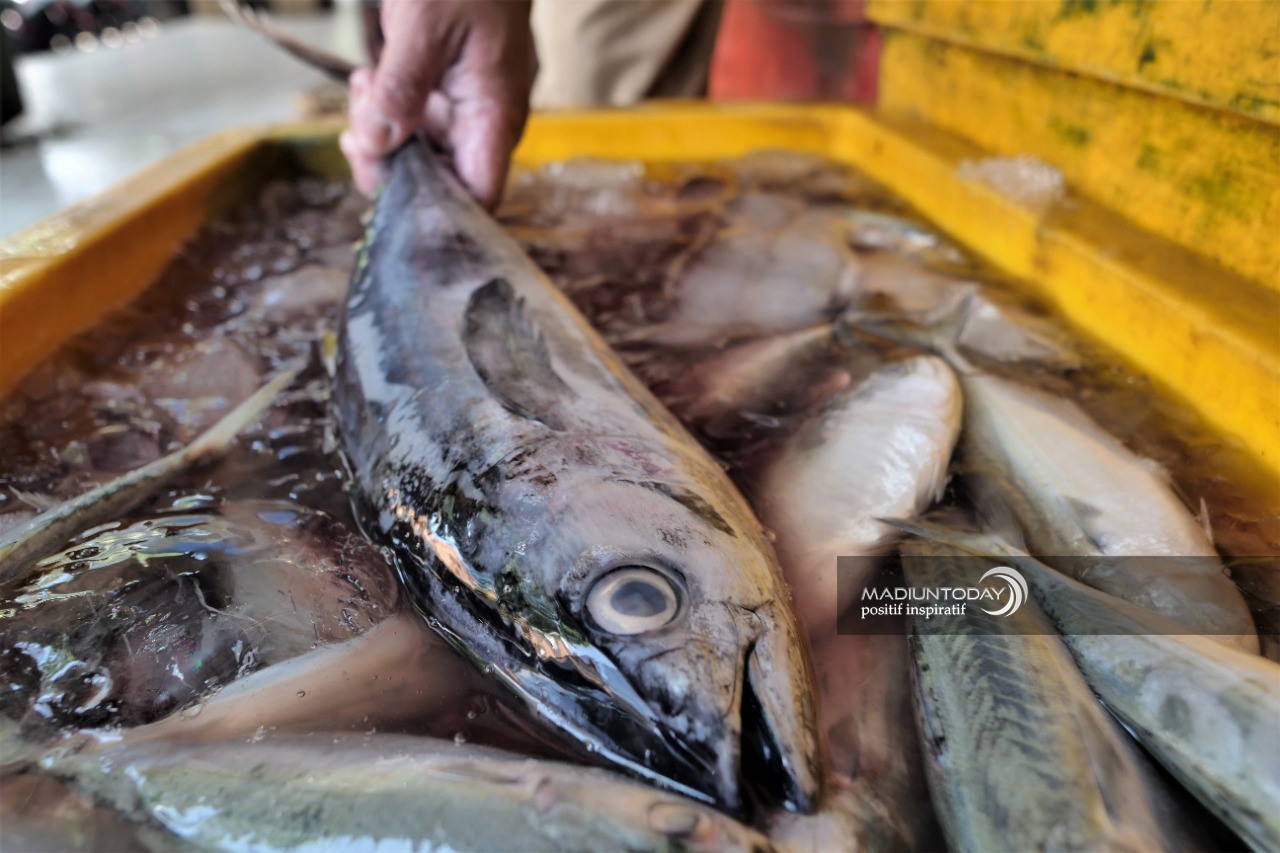 Mulai Senin Depan Pemkot Beri Subsidi Pembelian Ikan Segar