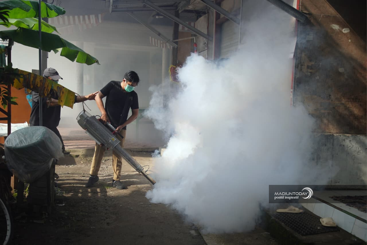 pic 2