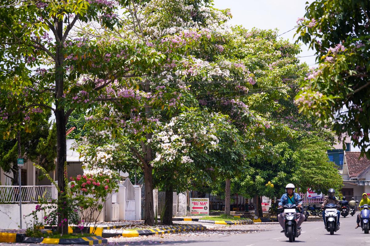 pic 2