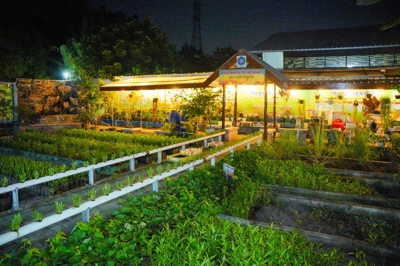 pic 2