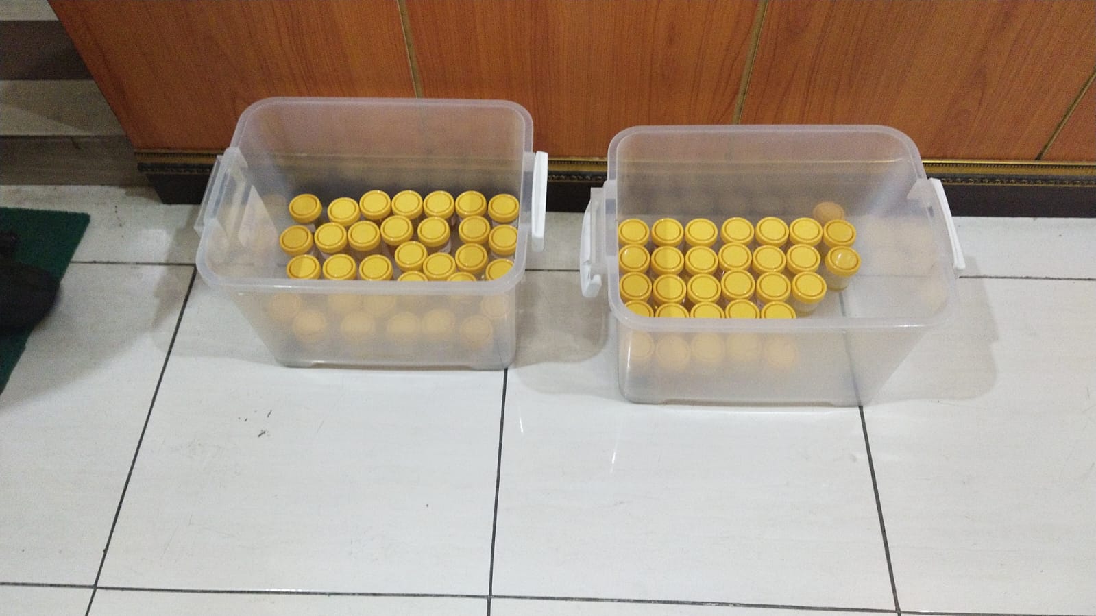 Foto 1 dari 3: Antisipasi Penyalahgunaan Narkoba, Kejari Kota Madiun Gelar Test Urine Bagi Pegawai
