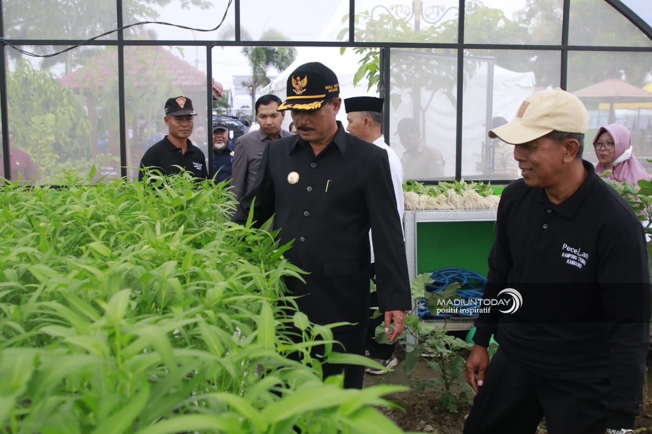 pic 2