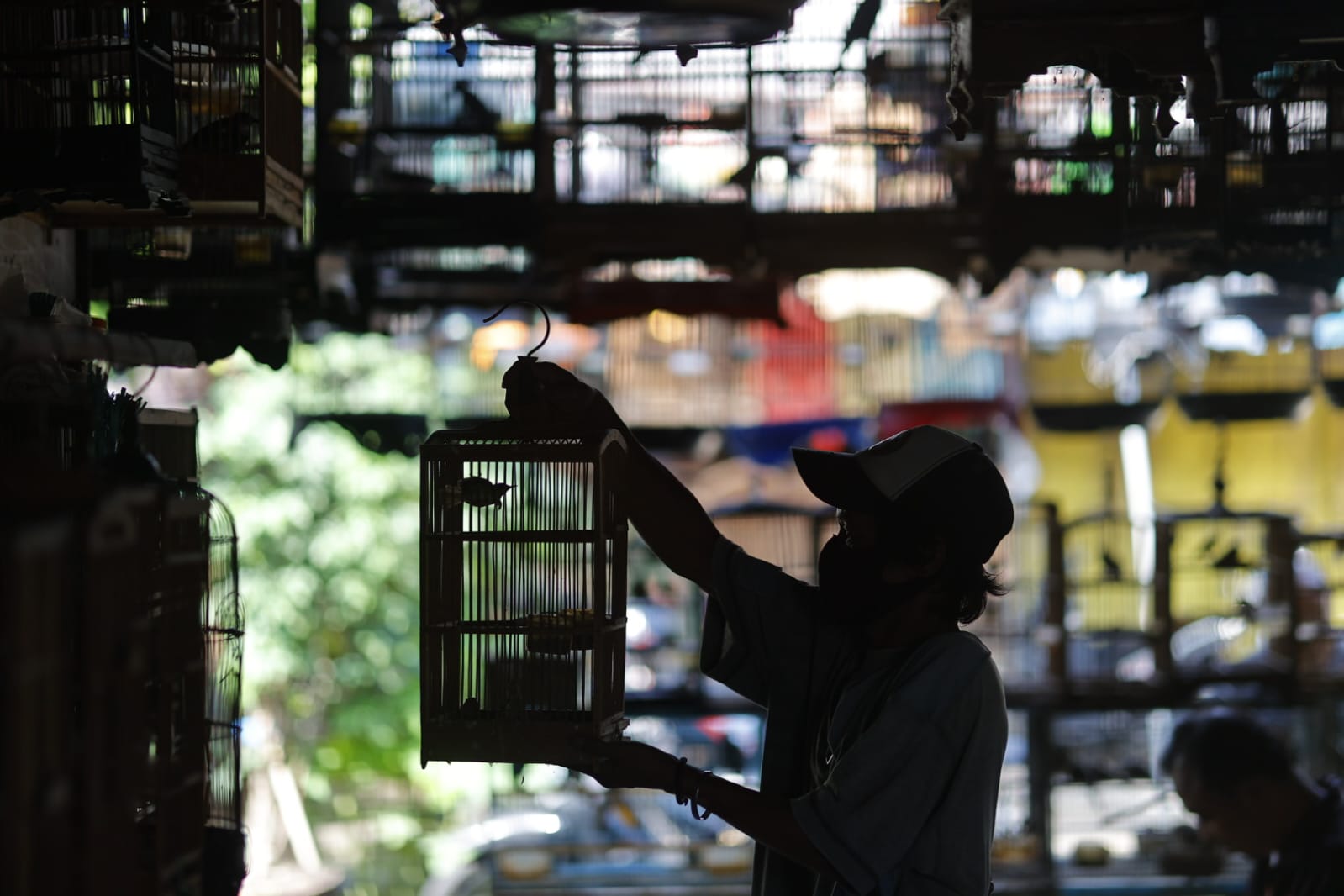 Foto utama berita: Banyak Pengunjung Luar Kota, Pasar Burung Srijaya Buka Peluang Jadi Pasar Wisata
