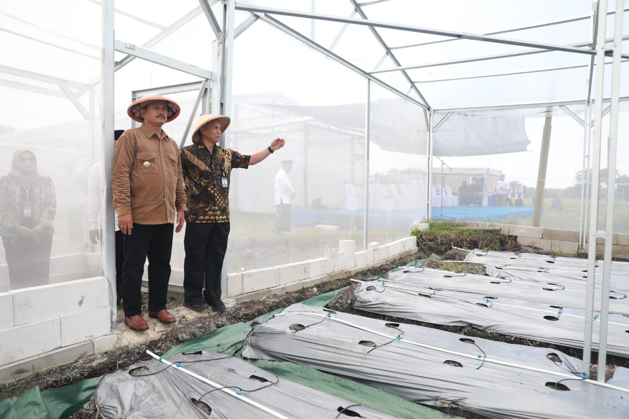Foto 2 dari 13: Resmikan Greenhouse & Drip Irrigation System Ponpes Al Mardliyyah Madiun, Wali Kota Maidi Harap Bermanfaat