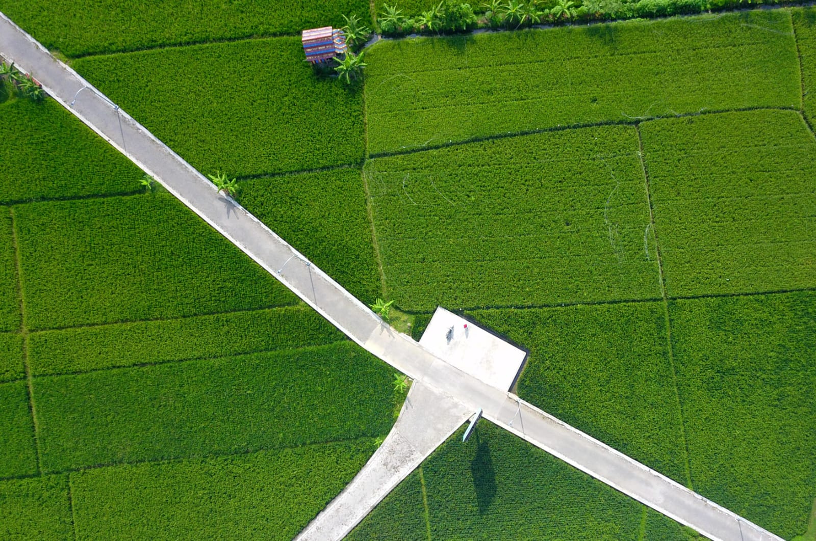 pic 2