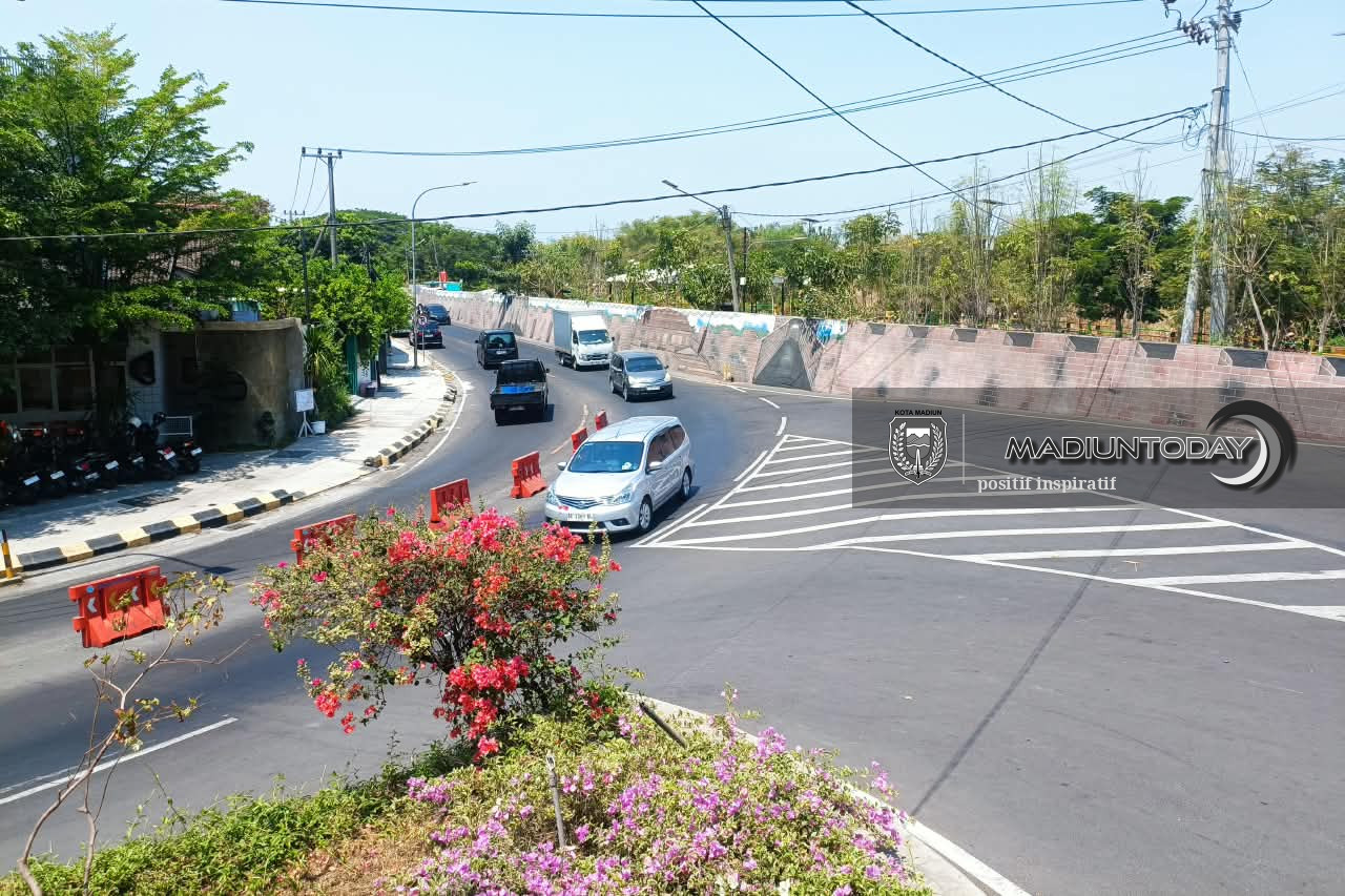 Foto 5 dari 5: Tabebuya Mekar Hiasi Kota, Jalan Ahmad Yani Jadi Sasaran Penanaman Berikutnya