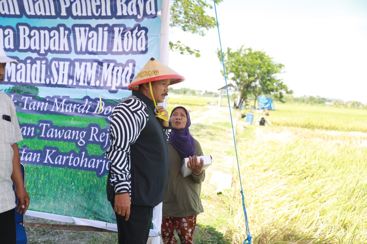 Foto 8 dari 11: Wali Kota Maidi Apresiasi Panen Raya Kelompok Tani Mardi Bogo Kelurahan Tawangrejo