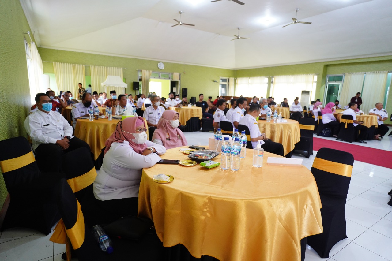 pic 2