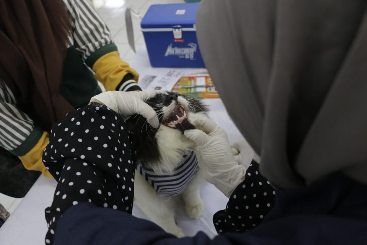 Foto 9 dari 11: Antisipasi Kasus Rabies, Warga Vaksin Hewan Peliharaan Di DKPP