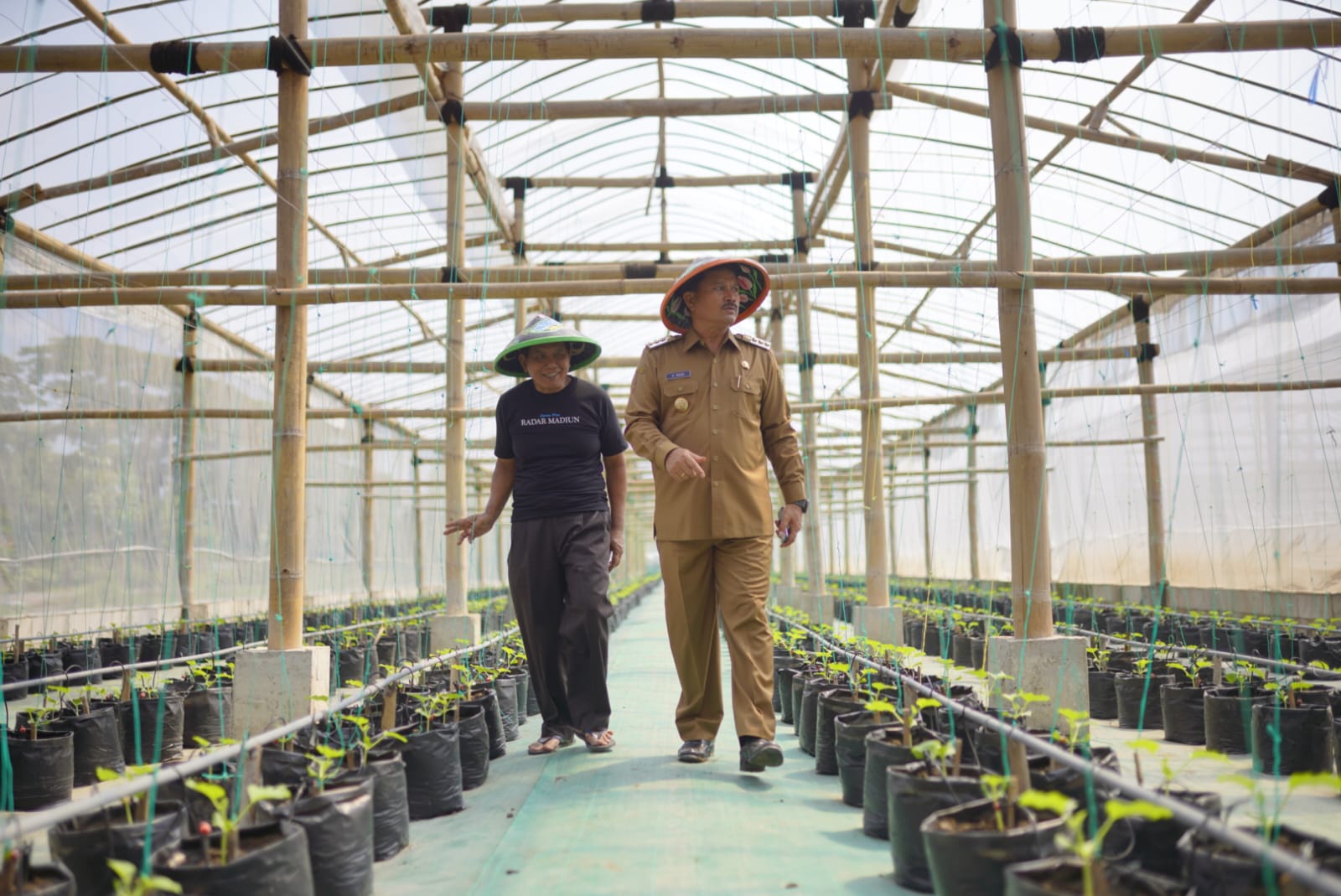 Foto 5 dari 6: Tingkatkan Hasil Panen Melon Ngrowo Bening, Wali Kota Adopsi Sistem Bercocok Tanam Ala Jepang