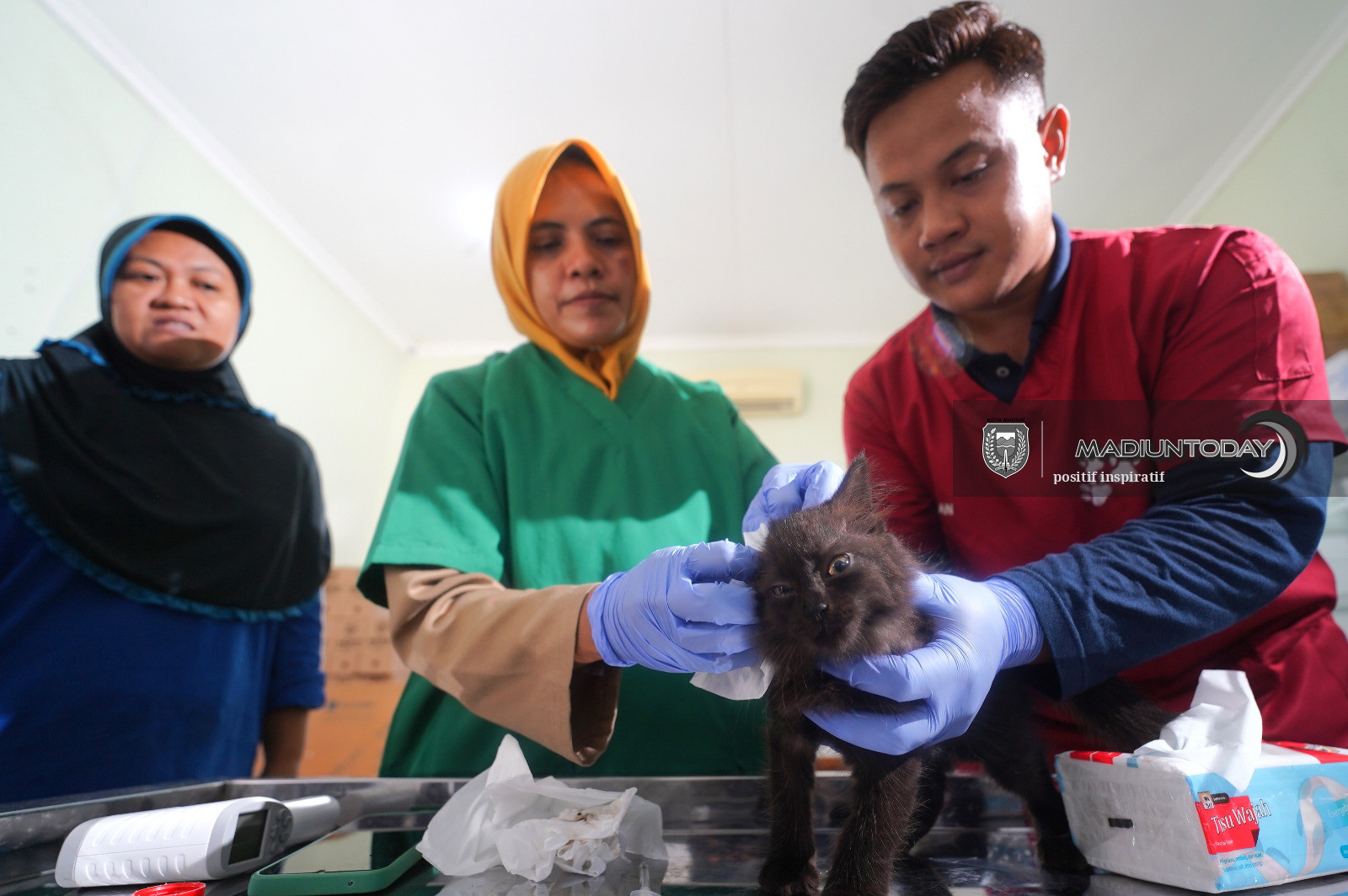Foto 1 dari 4: Pemeriksaan Hewan Gratis Bakal Hadir di Kota Madiun, Warga Bisa Bawa Hewan Kesayangan untuk Diperiksa
