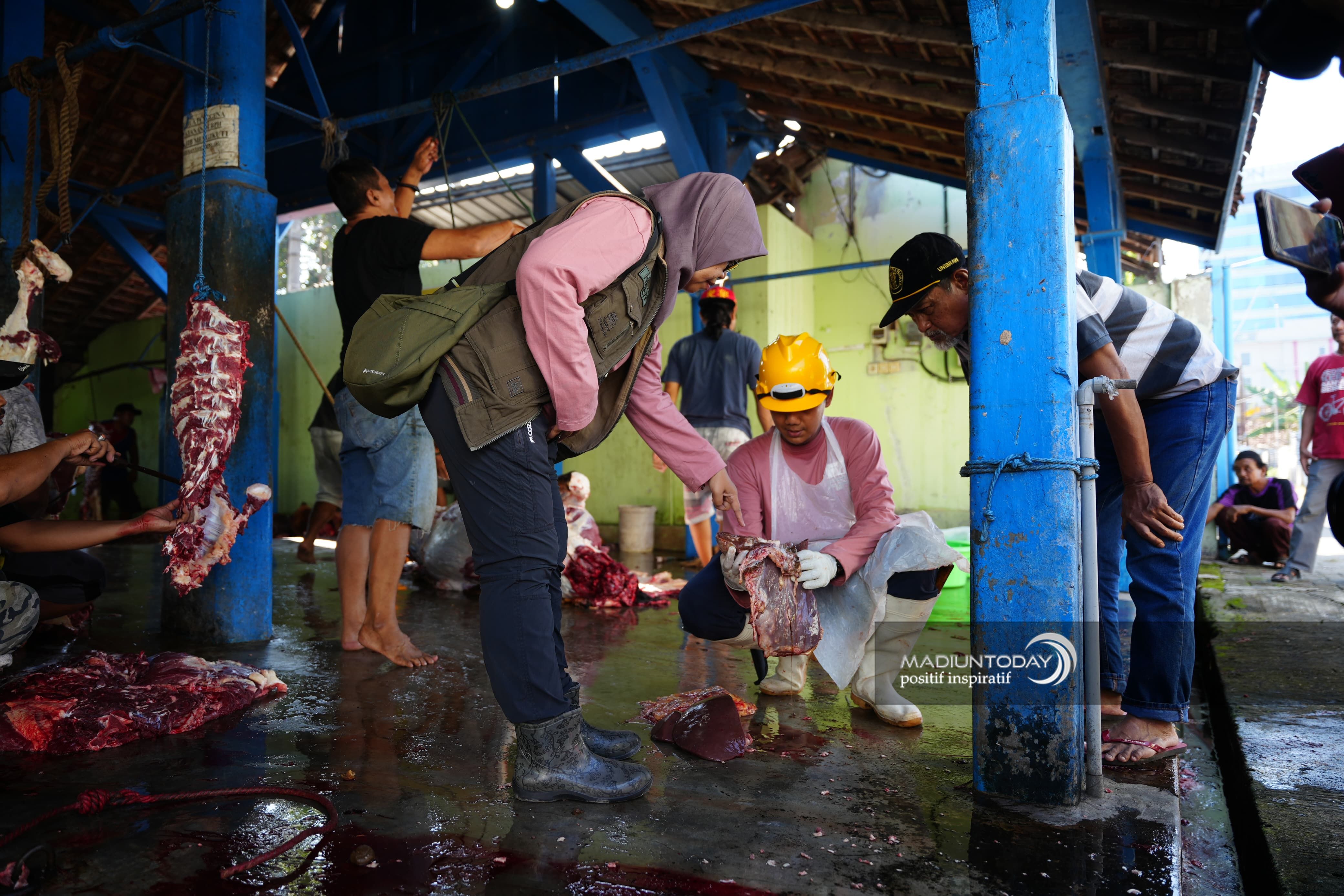 pic 2