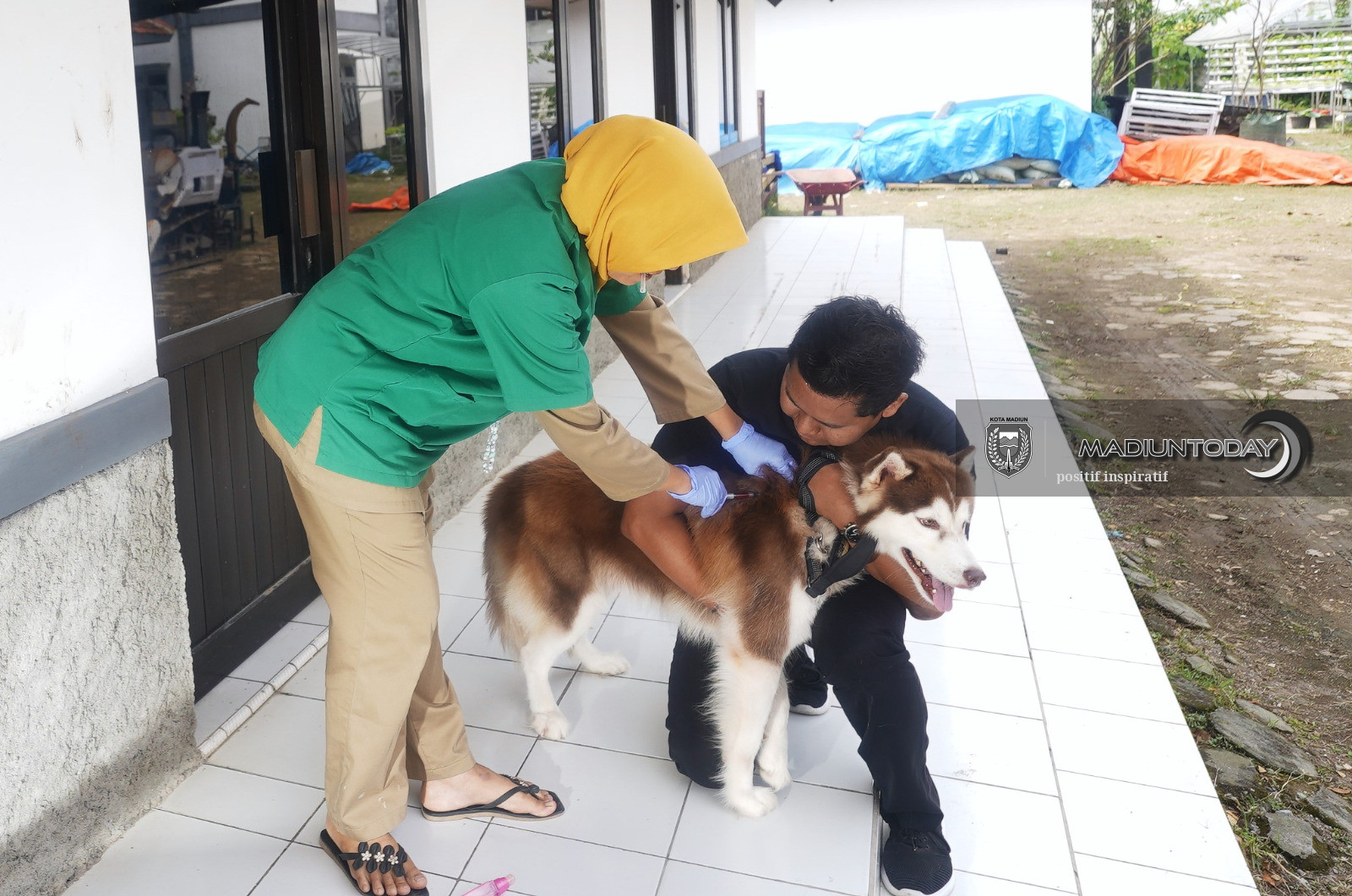 Foto 2 dari 4: Pemeriksaan Hewan Gratis Bakal Hadir di Kota Madiun, Warga Bisa Bawa Hewan Kesayangan untuk Diperiksa