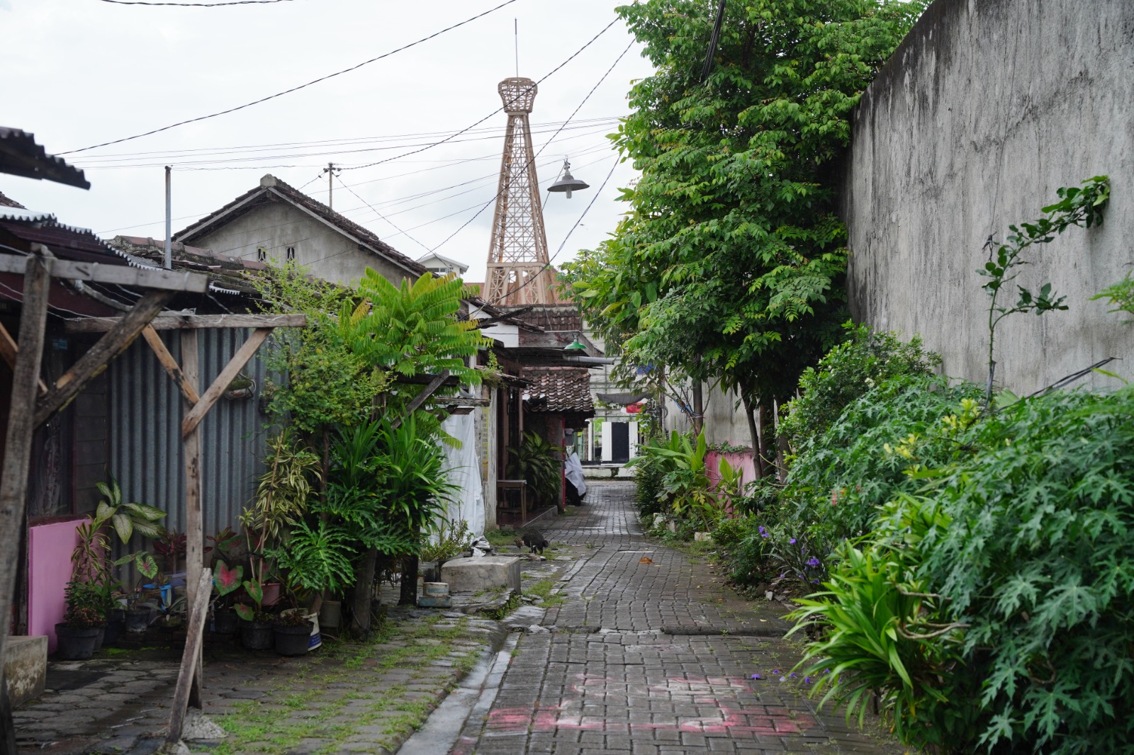 Foto 6 dari 10: Dekat dengan PRC, Wali Kota Berencana Jadikan Permukiman Lodayan Jadi Kampung Wisata Kreatif
