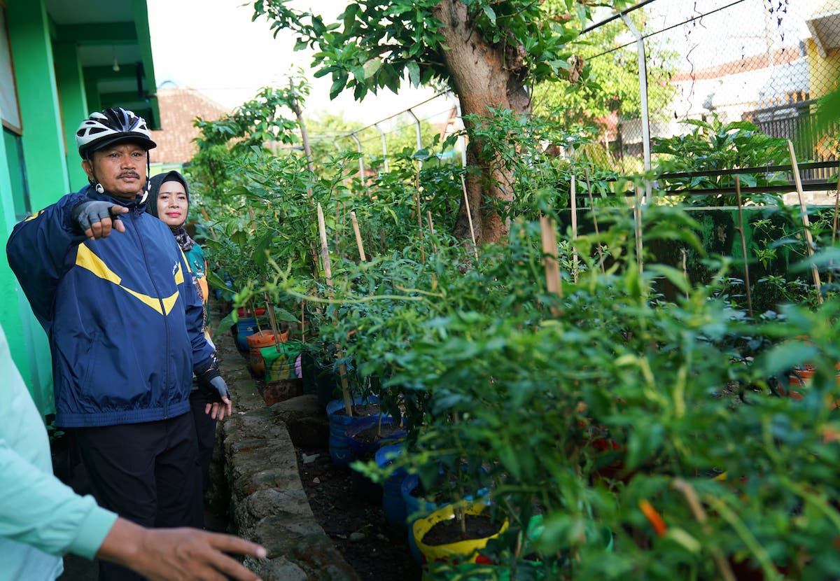 Foto 8 dari 9: Gowes Pagi, Wali Kota Cek Ketahanan Pangan di Sekolah-Sekolah