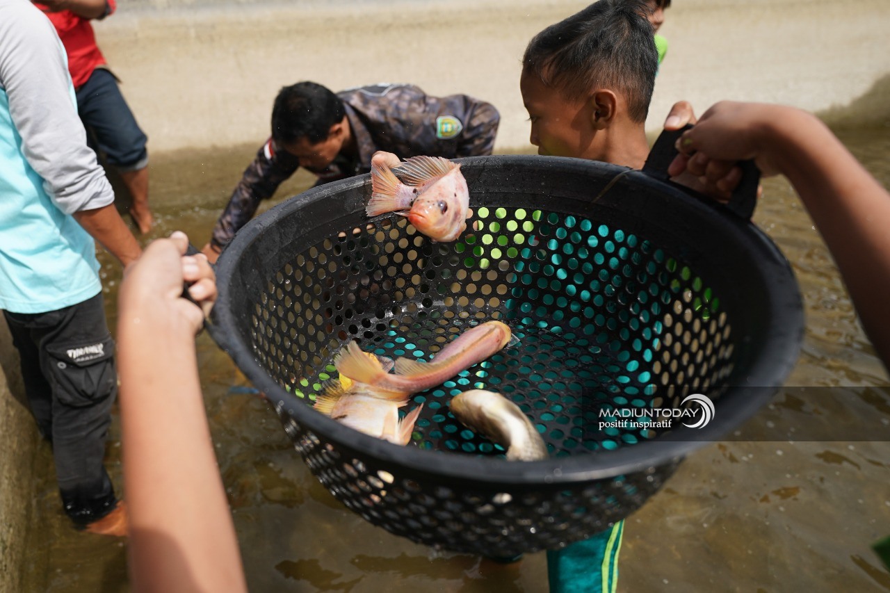 Foto 2 dari 8: Keceriaan Siswa Menangkap Ikan Bersama Wali Kota