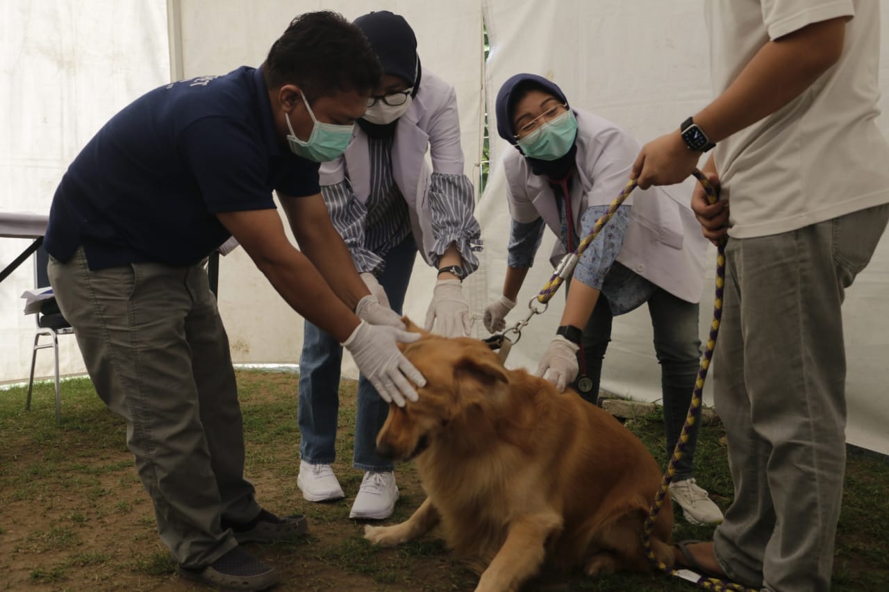 Foto 4 dari 11: Antisipasi Kasus Rabies, Warga Vaksin Hewan Peliharaan Di DKPP