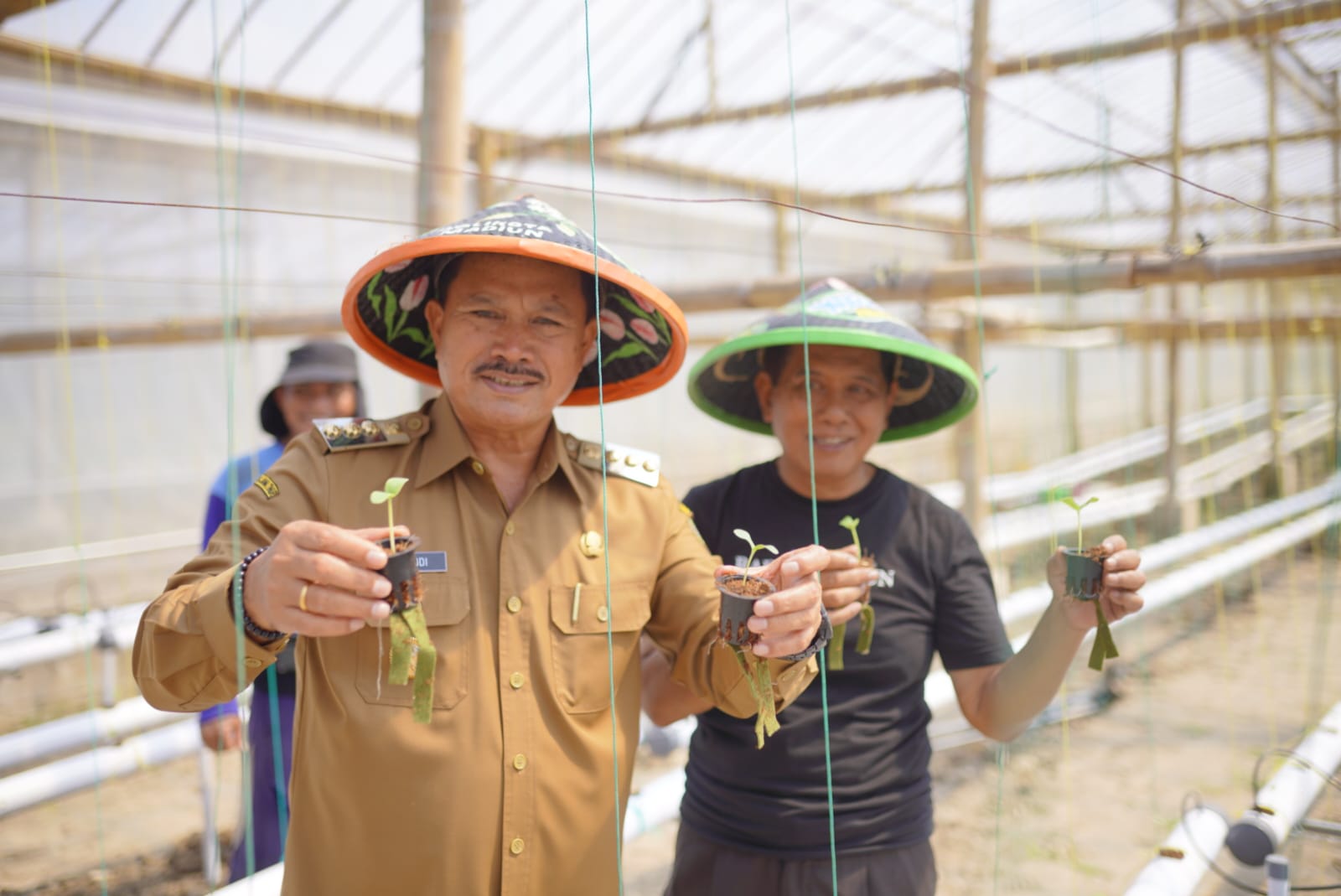 Foto 1 dari 6: Tingkatkan Hasil Panen Melon Ngrowo Bening, Wali Kota Adopsi Sistem Bercocok Tanam Ala Jepang